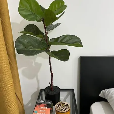 Cute In Дубровник