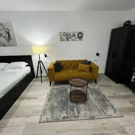 Cute In Apartment